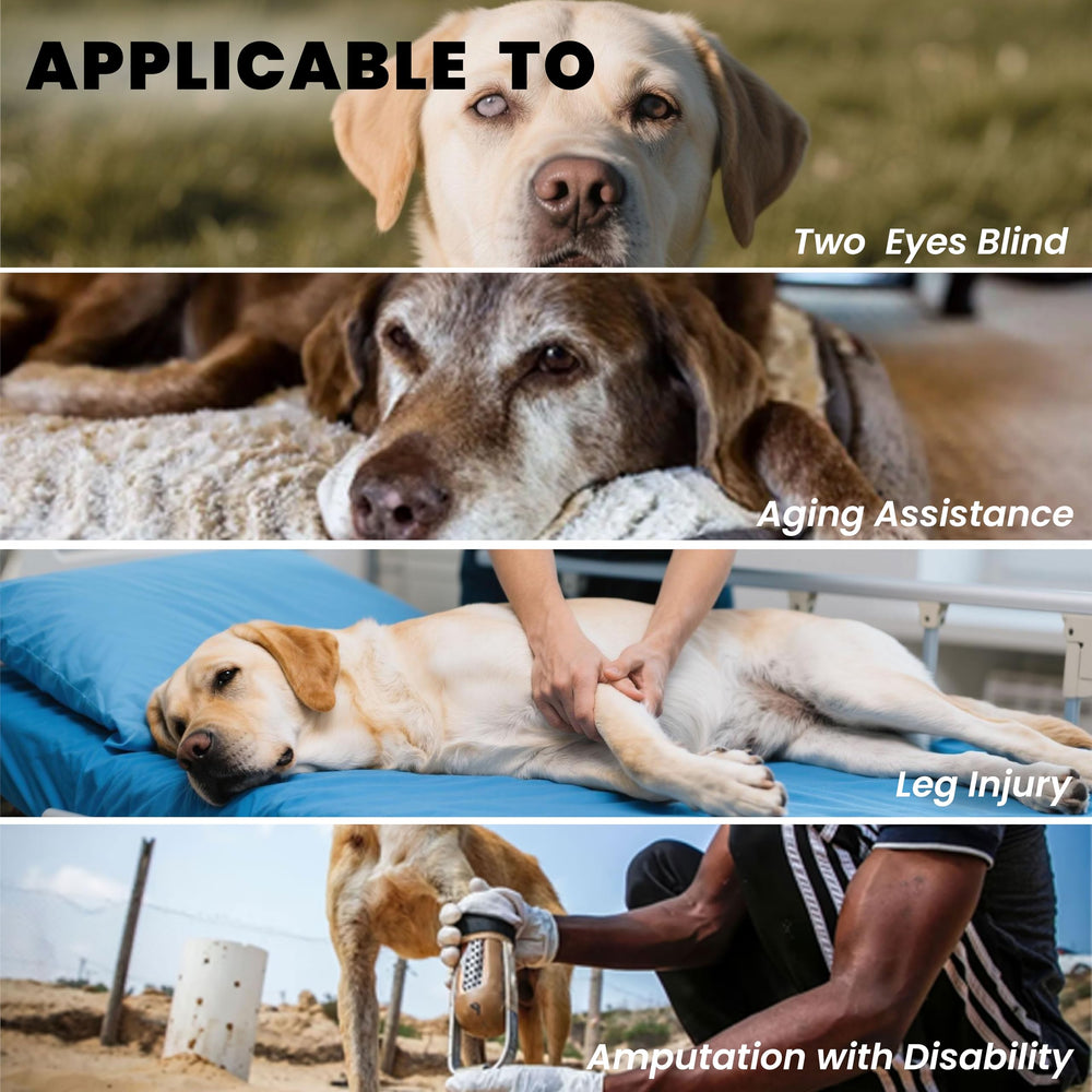 Terapaton Dog Lift Harness Reflective Stripes image enhanced visibility during walks