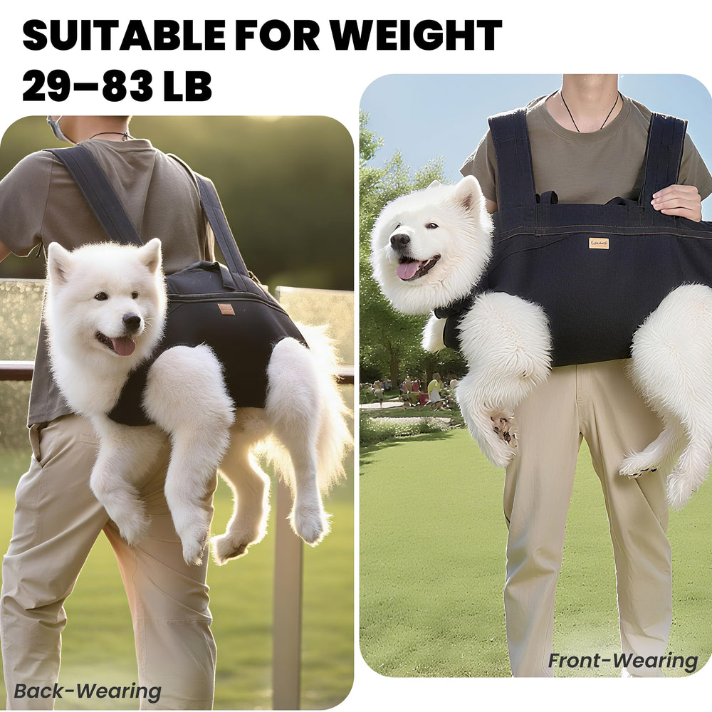 Terapaton harness with reflective stripes enhances visibility during low-light walks.