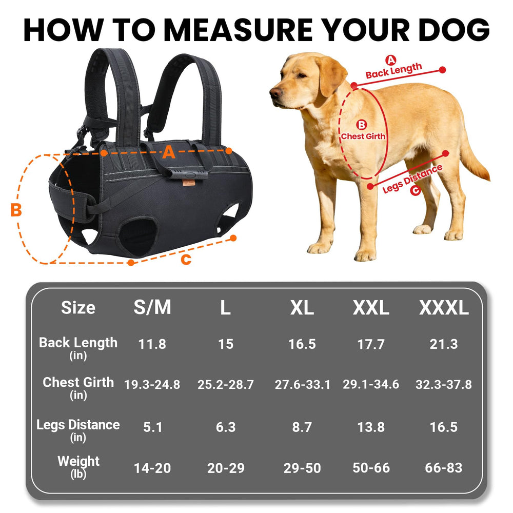 Terapaton dog lift harness side-worn showcasing padded straps for comfort