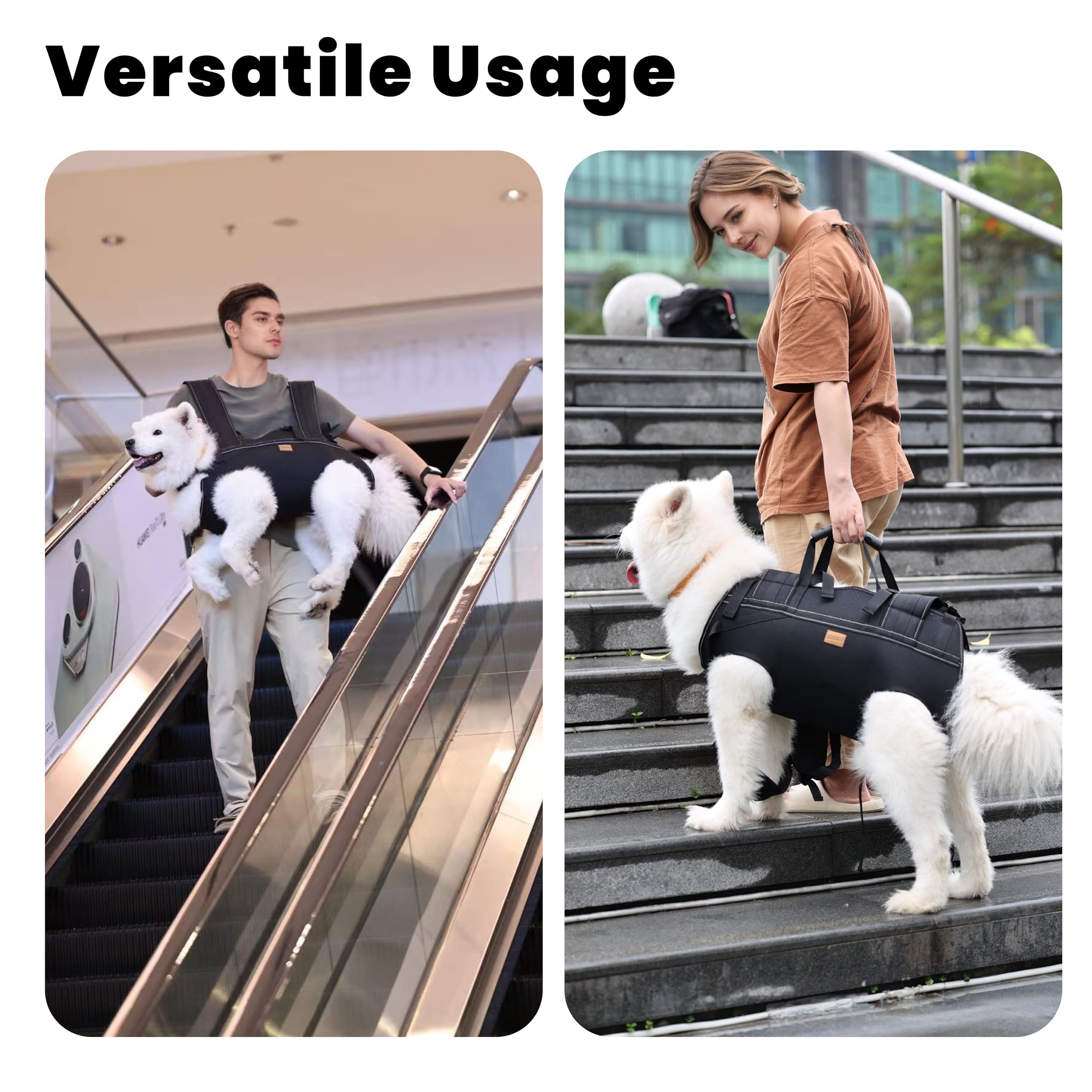 Terapaton reflective stripes boost visibility during evening walks with a large dog.