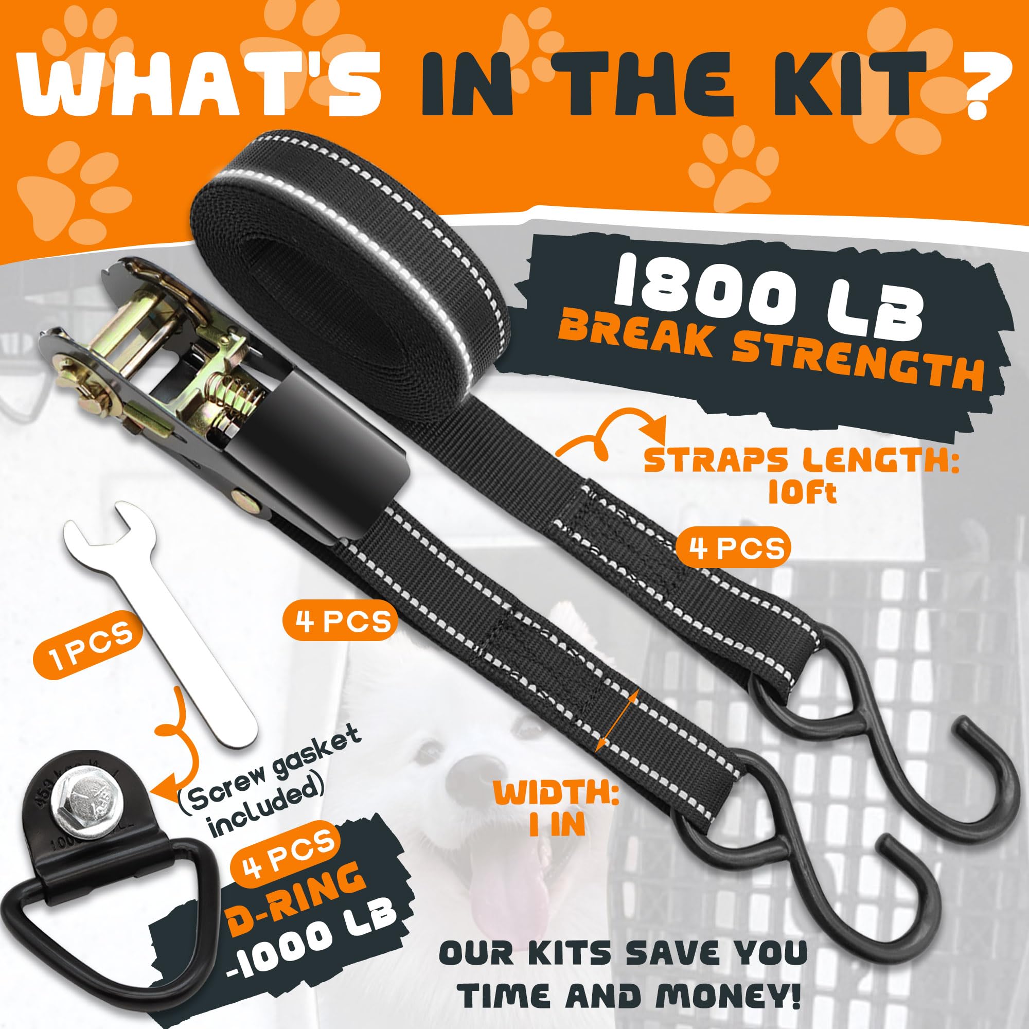 Terixe tie-down kit 1800lb break-strength strap showing durability.