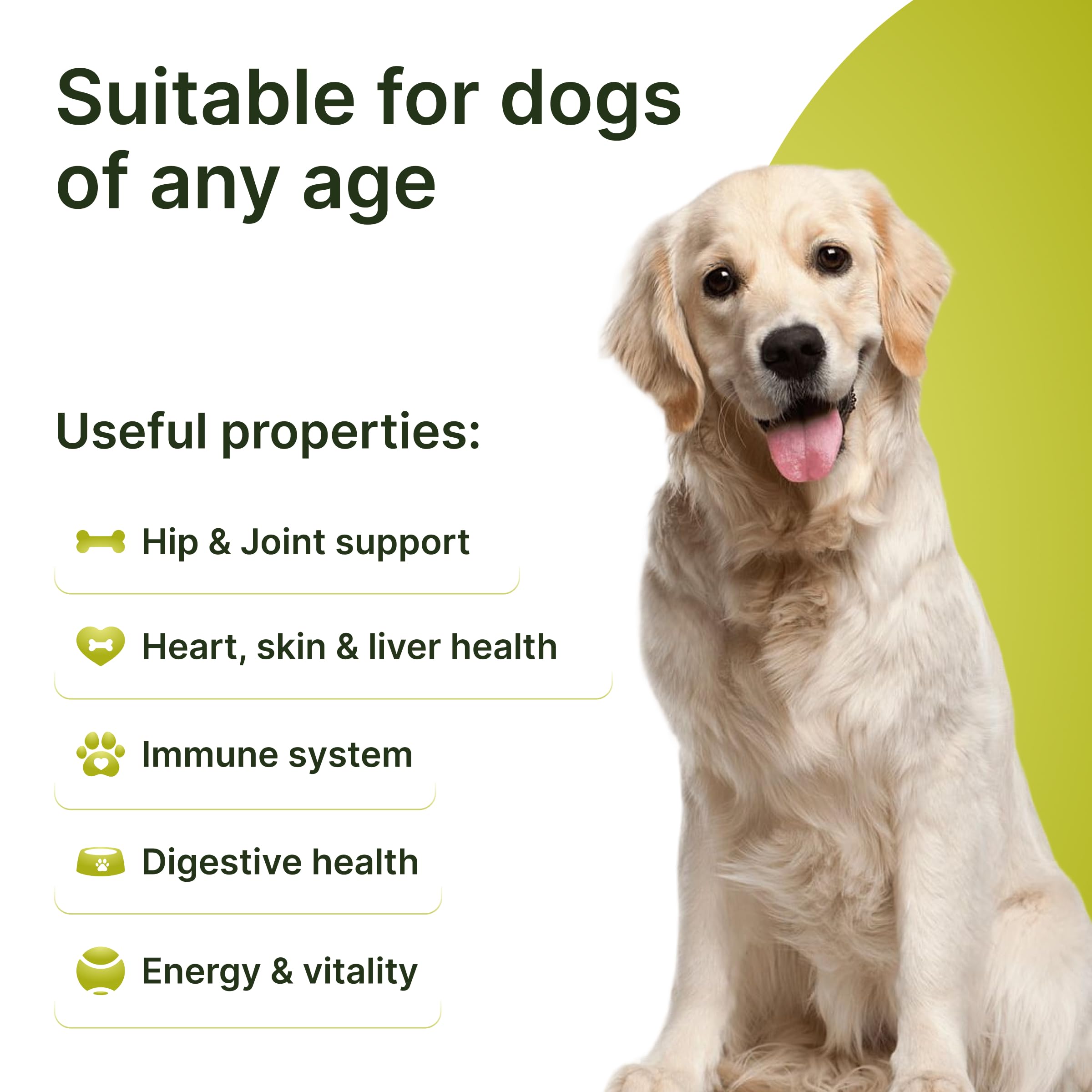 Terrapaws dog joint support bottle highlights glucosamine and MSM for mobility.