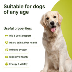 Terrapaws dog joint support bottle highlights glucosamine and MSM for mobility.