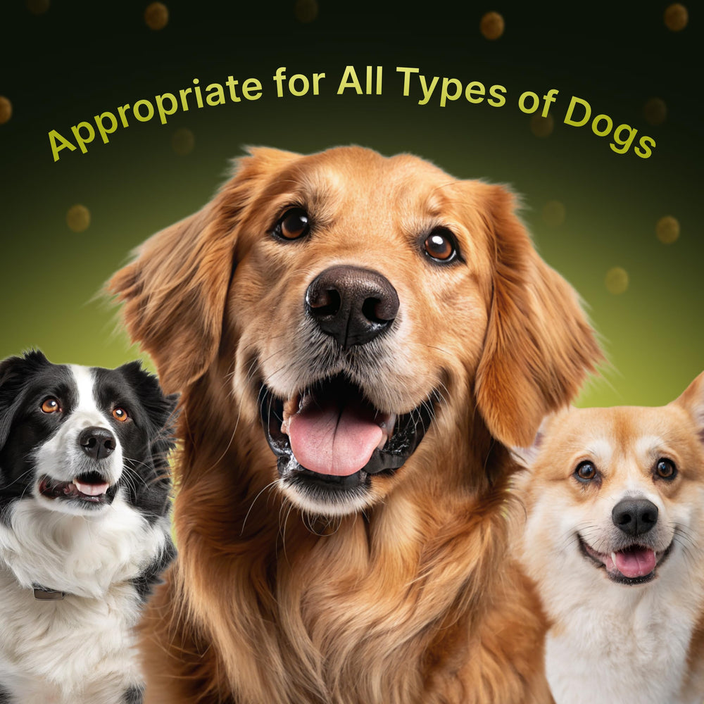 Terrapaws probiotics digestive enzymes graphic signals gut health and immunity.