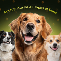 Terrapaws probiotics digestive enzymes graphic signals gut health and immunity.