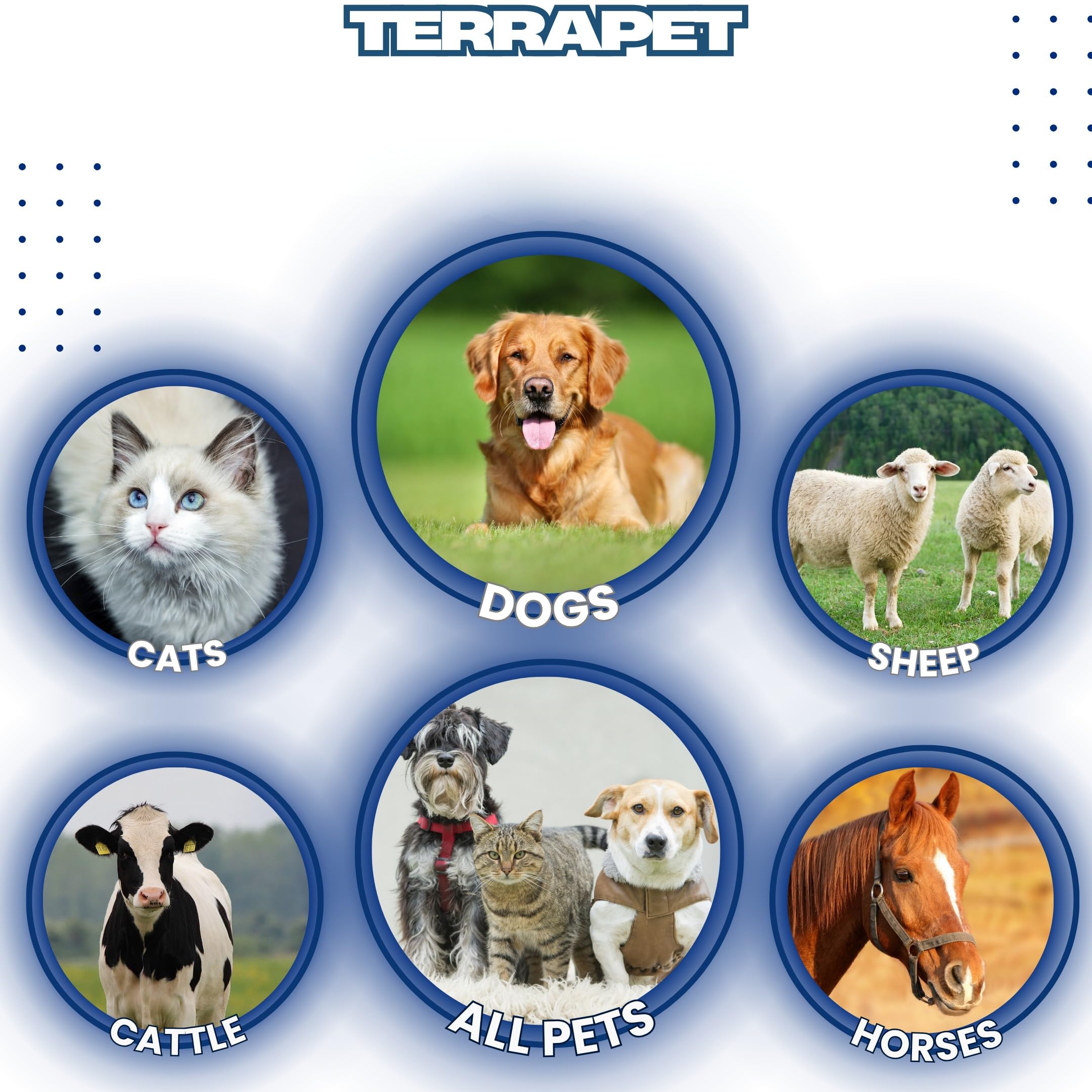 TerraPet cat eye area close up illustrates soothing care near the eyes