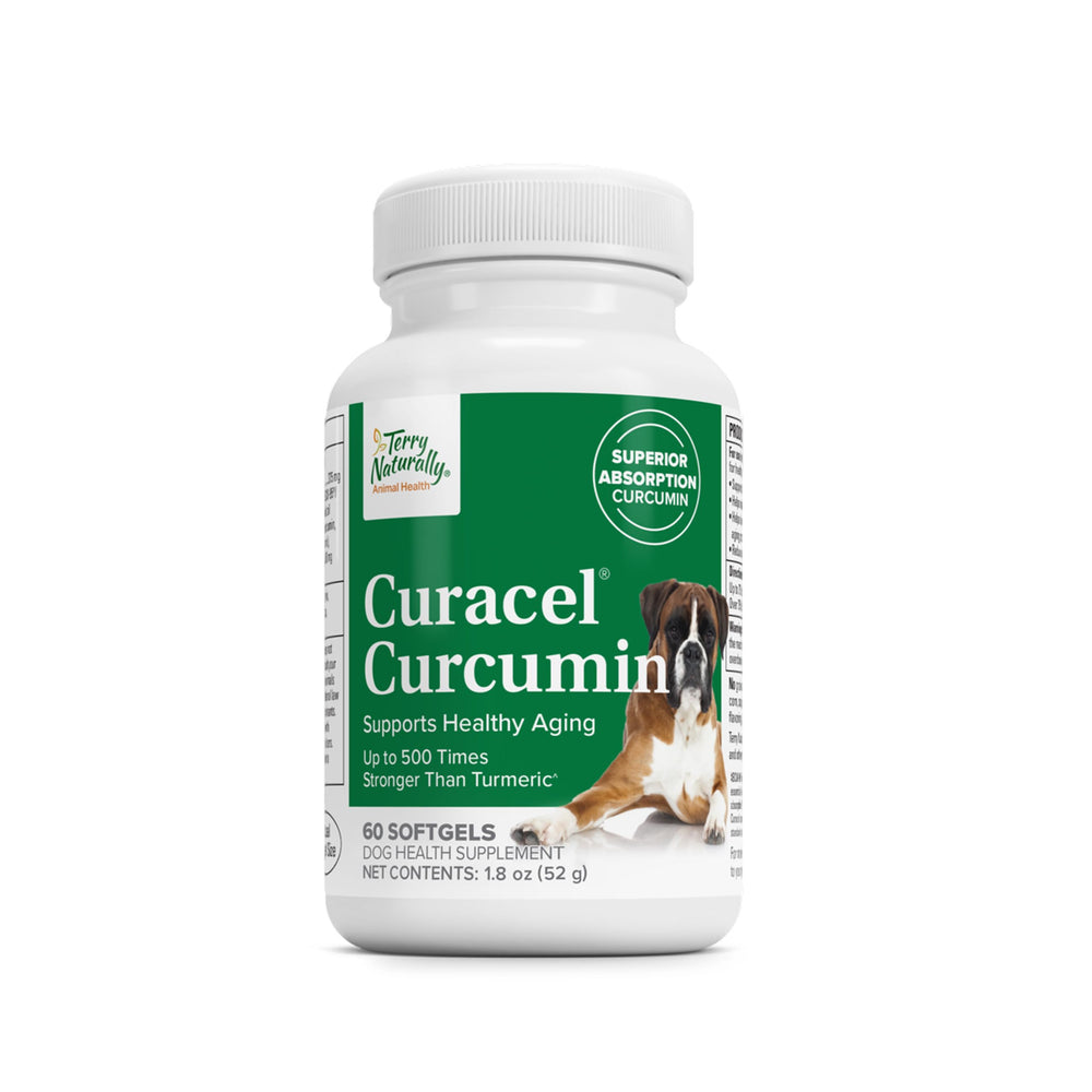 Terry Naturally Curacel Curcumin dog softgels bottle—antioxidant support for cellular health.
