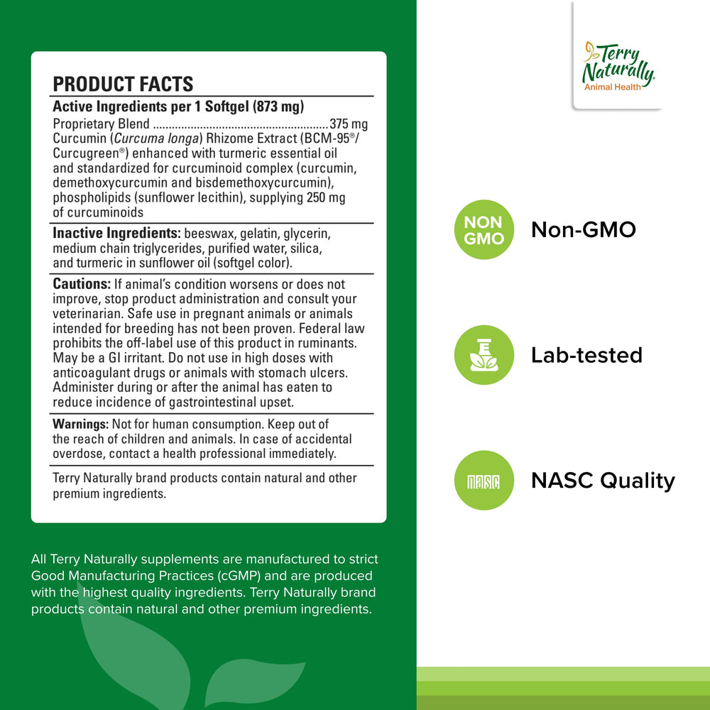 Terry Naturally Curacel Curcumin dog softgels dosing guide image highlighting daily use.