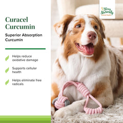 Label shows grain-free Curacel Curcumin for dogs with no artificial additives.