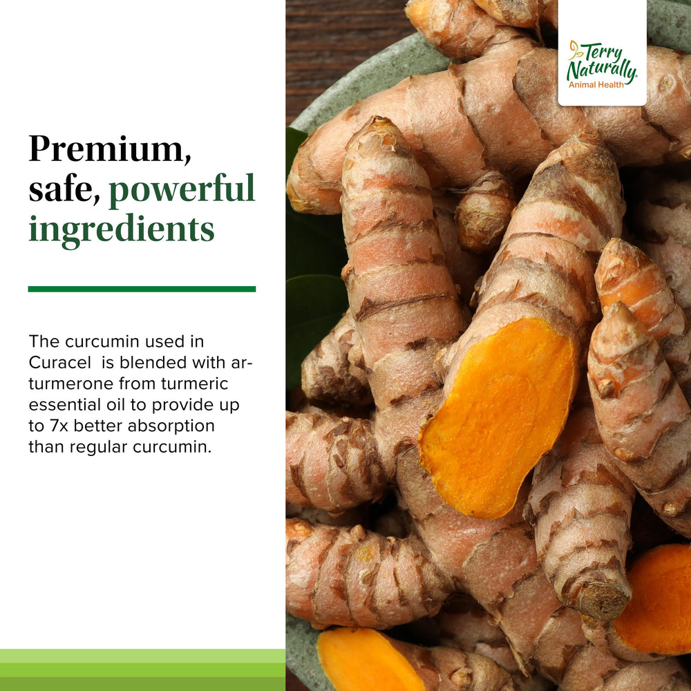 Product shot of Terry Naturally Curacel Curcumin featuring 60 softgels.