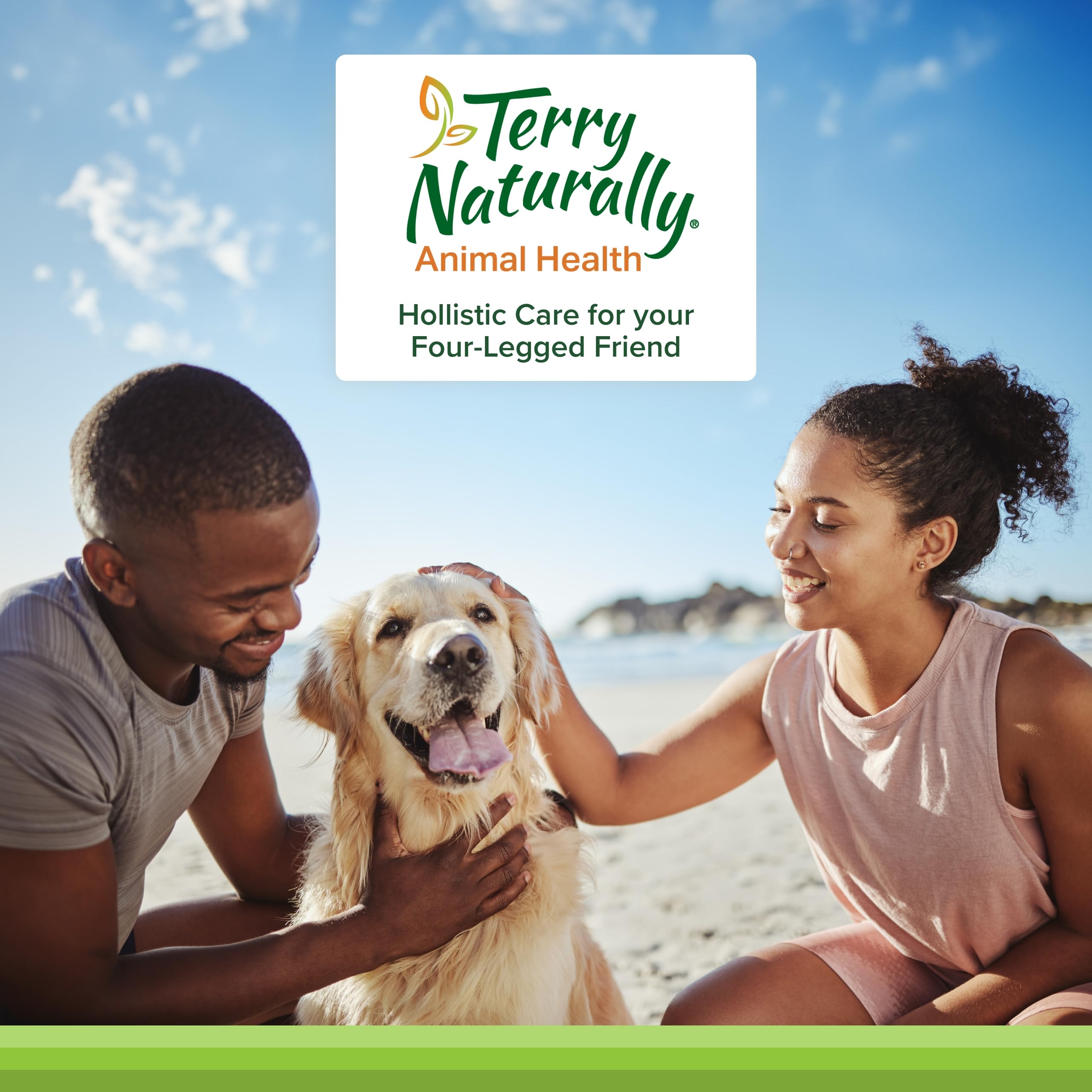 Ingredient panel highlighting curcumin-based formula for joint support.