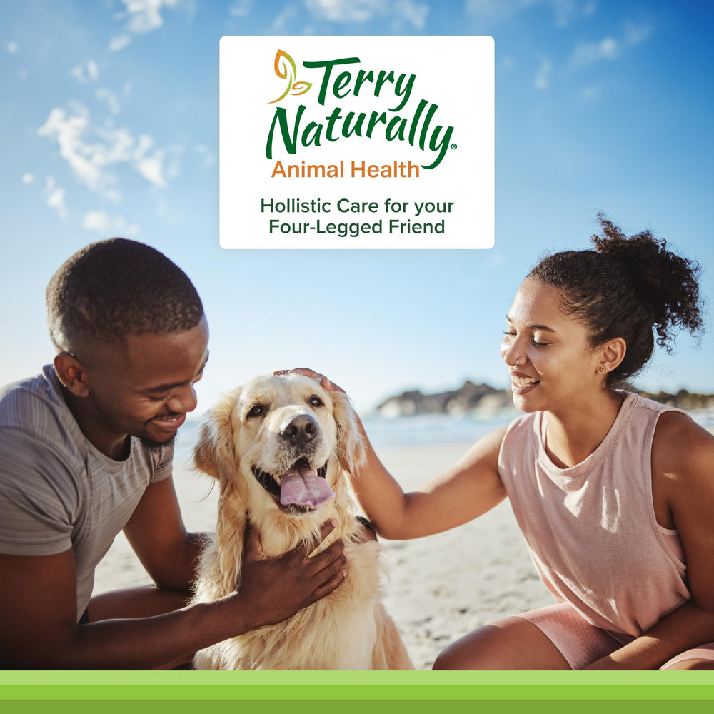 Ingredient panel highlighting curcumin-based formula for joint support.