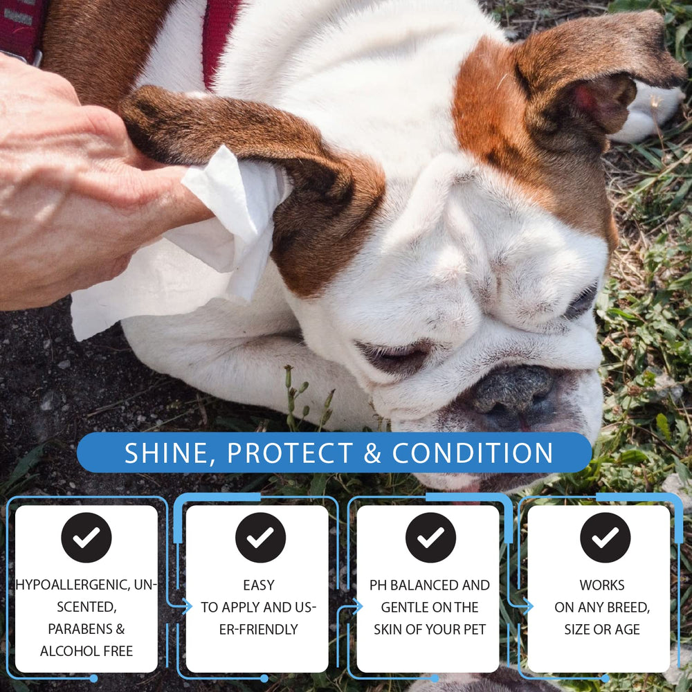 Tetesol dog wipes bum refresh emphasizes hygienic freshening between baths