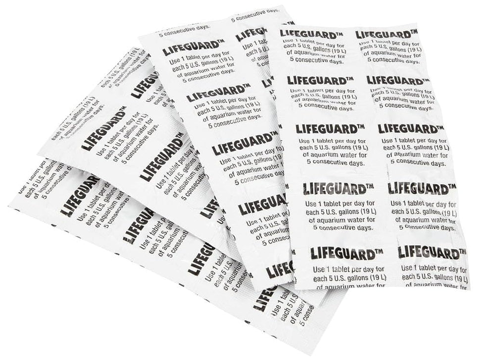 Aquarium setup showing Lifeguard dosing to support disease management in freshwater tanks.