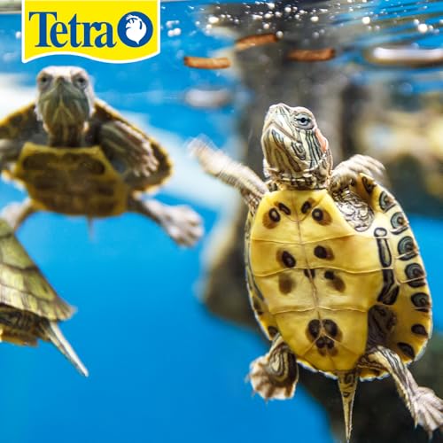 Tetra ReptoMin: tortuga comiendo palitos flotantes, apoyo nutricional diario.
