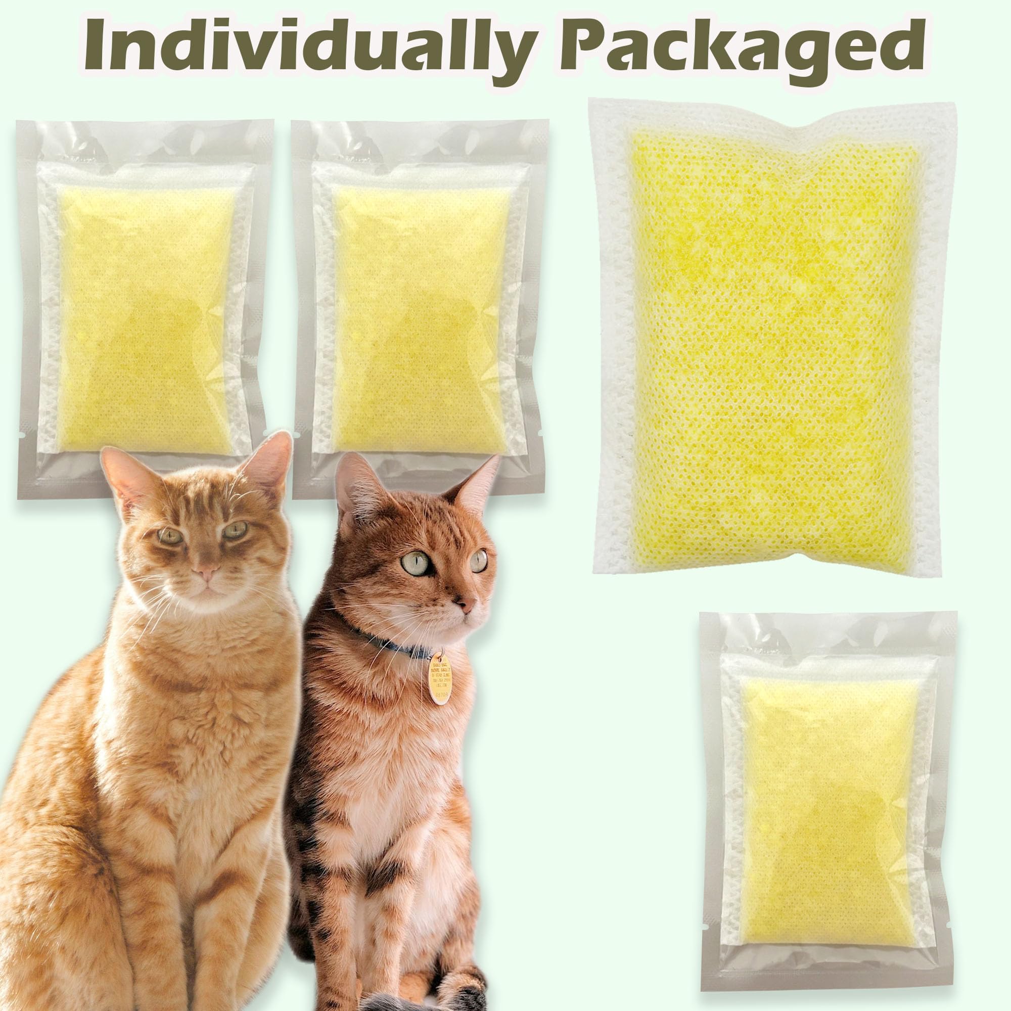 TeurWone 12-pack wrapped packaging highlights individually wrapped refills for two-week changes.