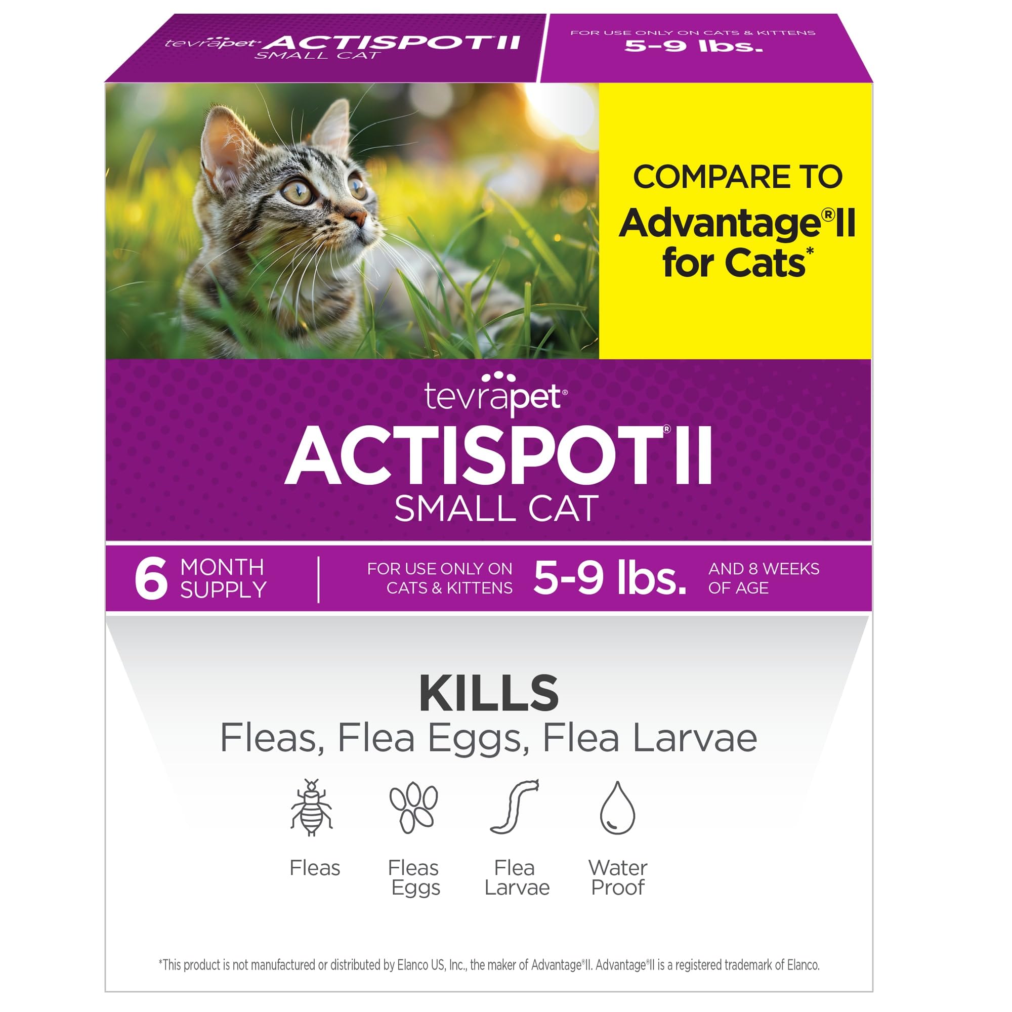 TevraPet Actispot II box with six doses for small and medium cats offers monthly flea protection.