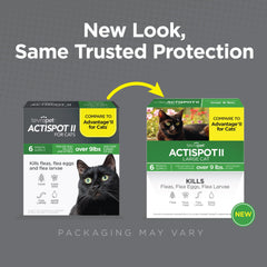 TevraPet Actispot II on a cat's back demonstrates fast, waterproof flea protection