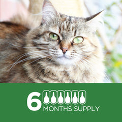 TevraPet Actispot II eggs and larvae visual supports reinfestation prevention