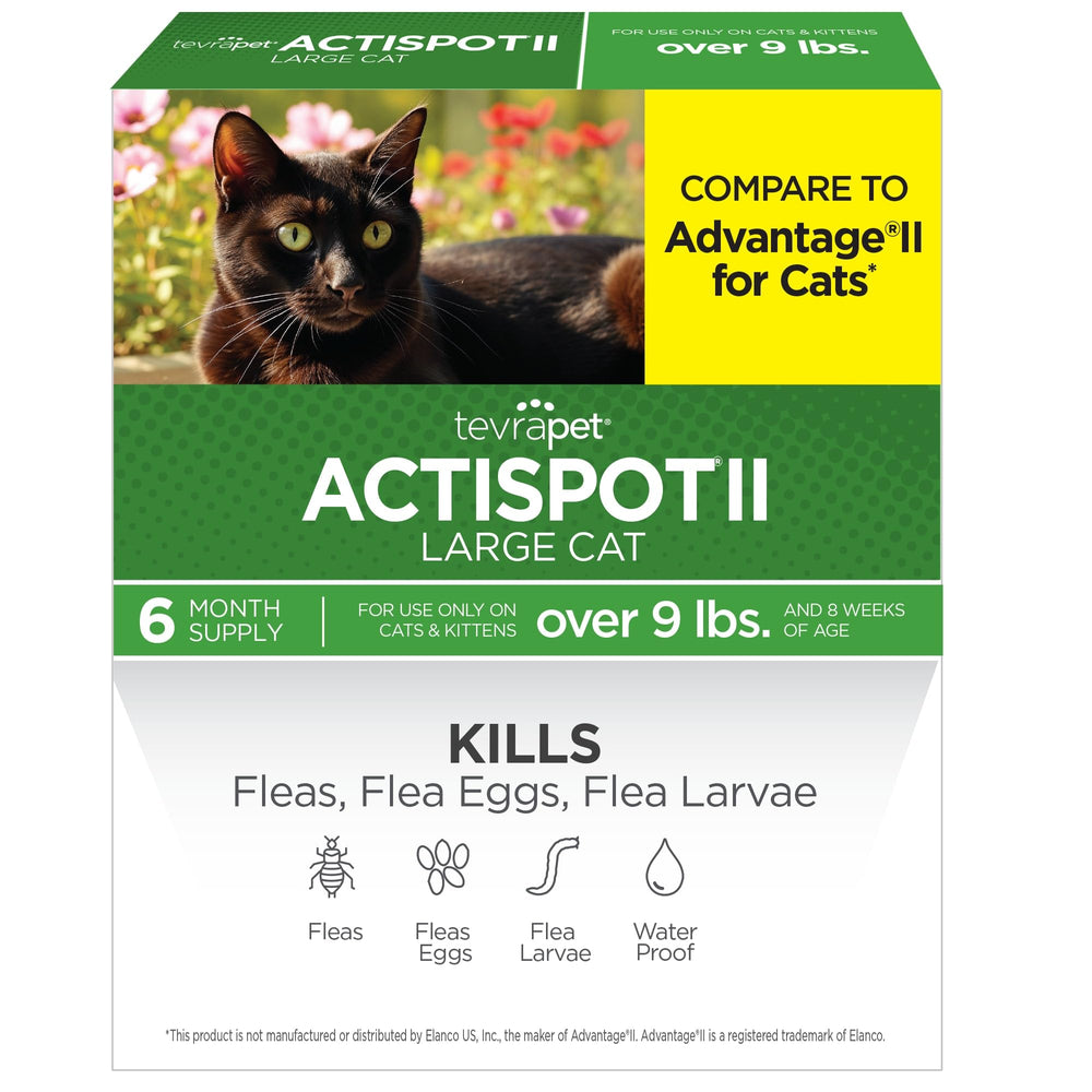 TevraPet Actispot II box closeup shows six-dose packaging for easy protection