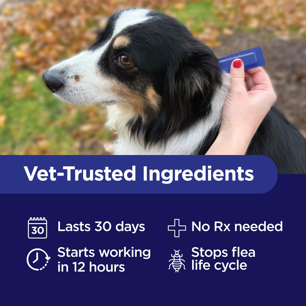 TevraPet Activate II bottle-closeup highlights dosage and active ingredients.