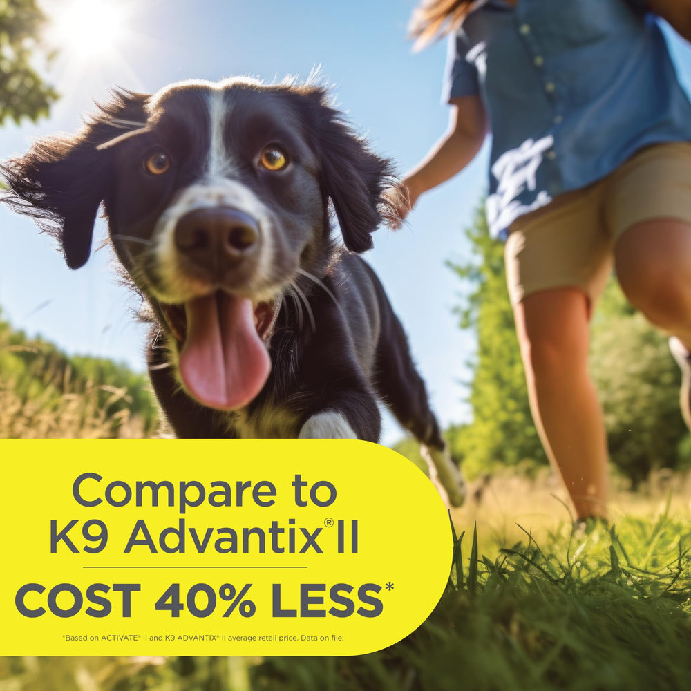 TevraPet Activate II designed for medium dogs 11-20 lbs during routine care.