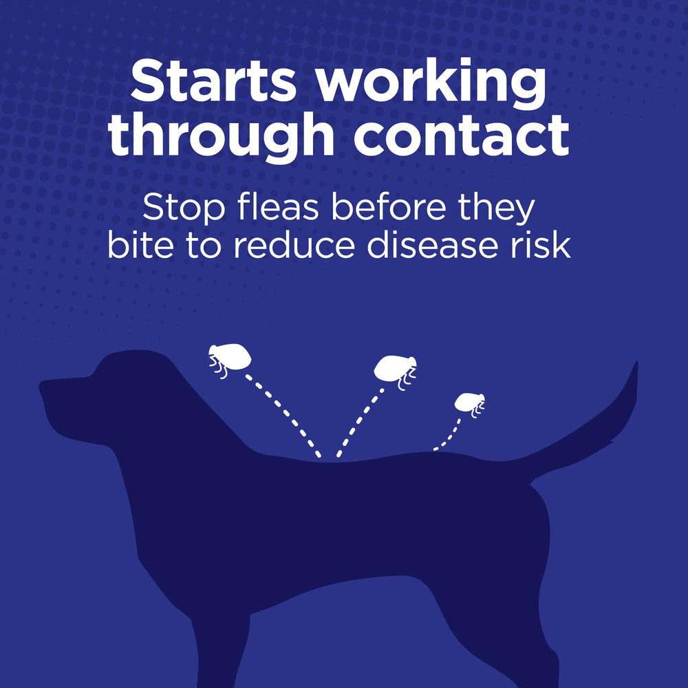 TevraPet Activate II calm-dog after-treatment scene suggests ease of use and consistent protection.