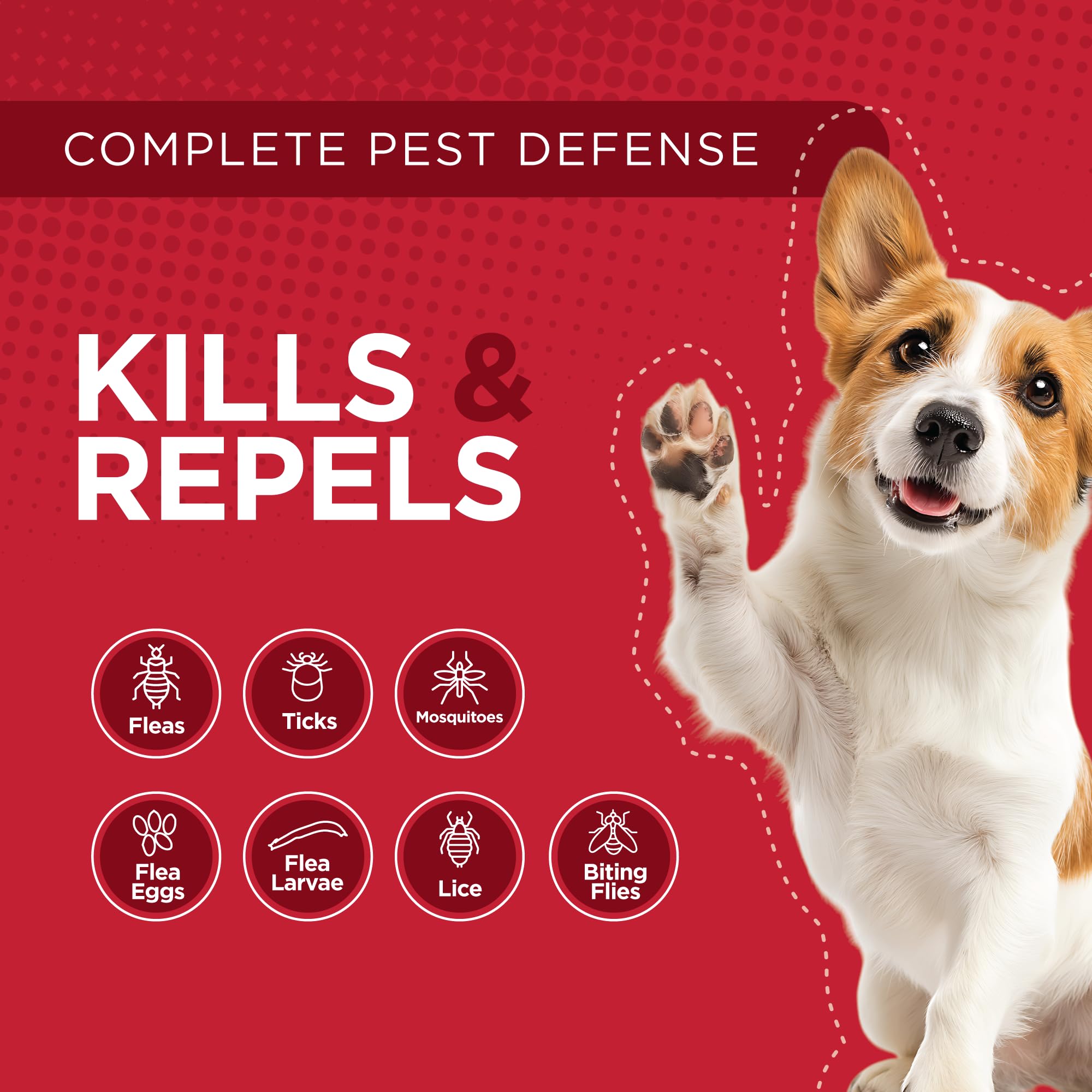 TevraPet Activate II packaging demonstrates 12-hour impact on flea eggs and larvae.