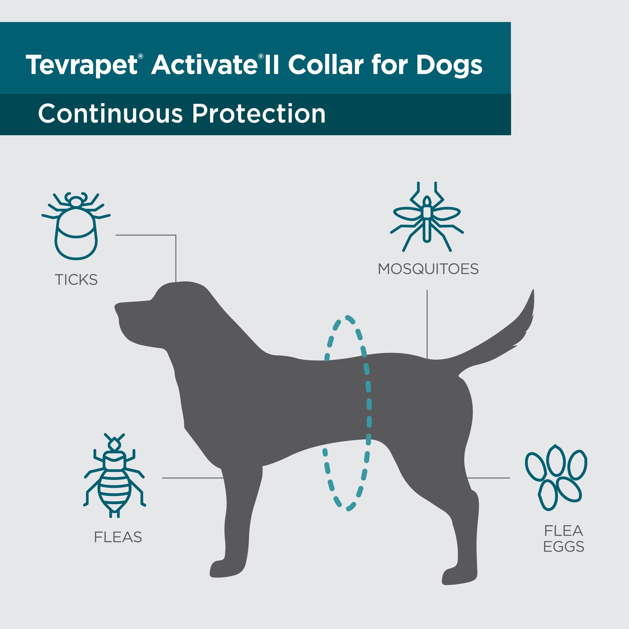 TevraPet Activate II made-in-Texas label signals quality and trusted protection.