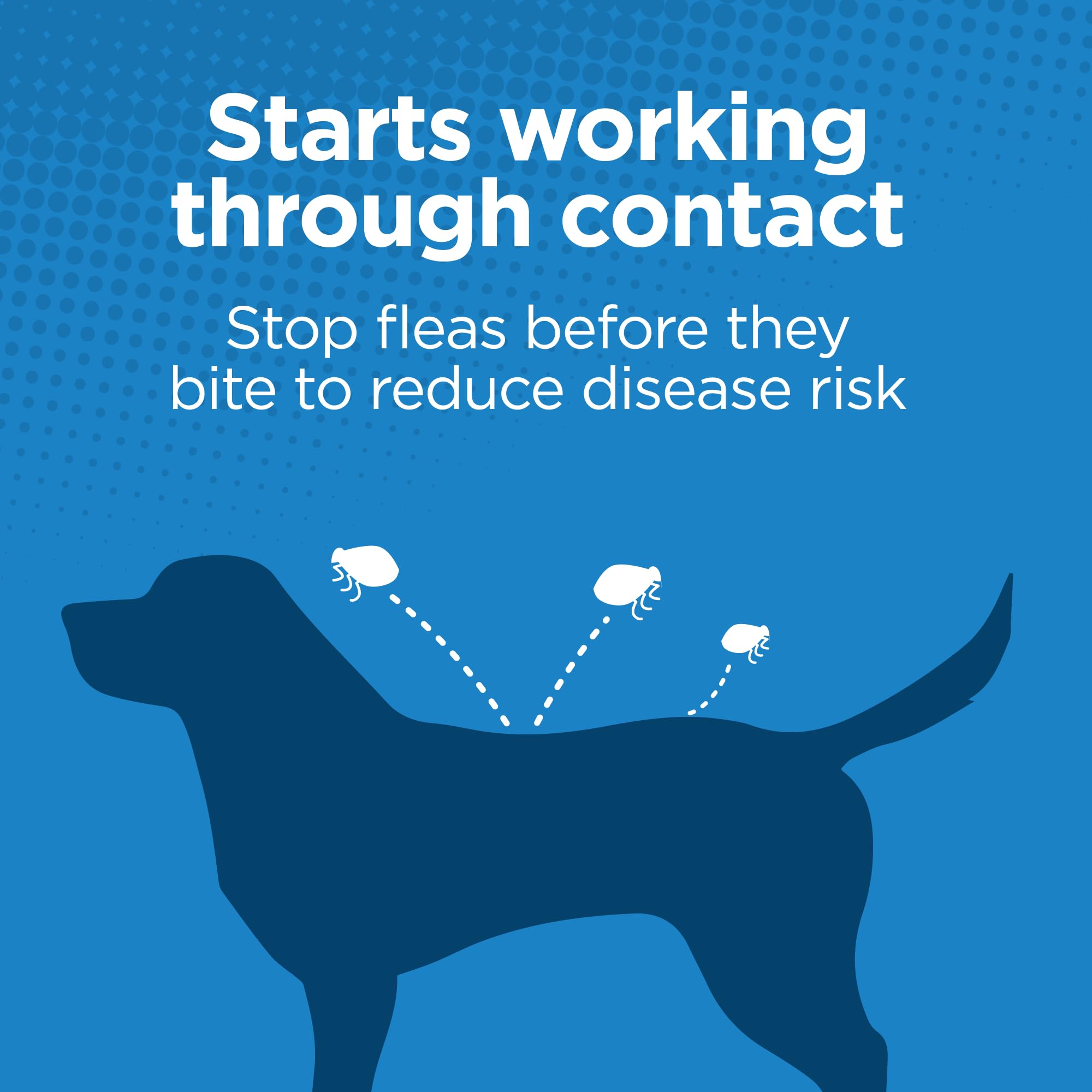TevraPet Activate II monthly-doses image emphasizes consistent annual protection.