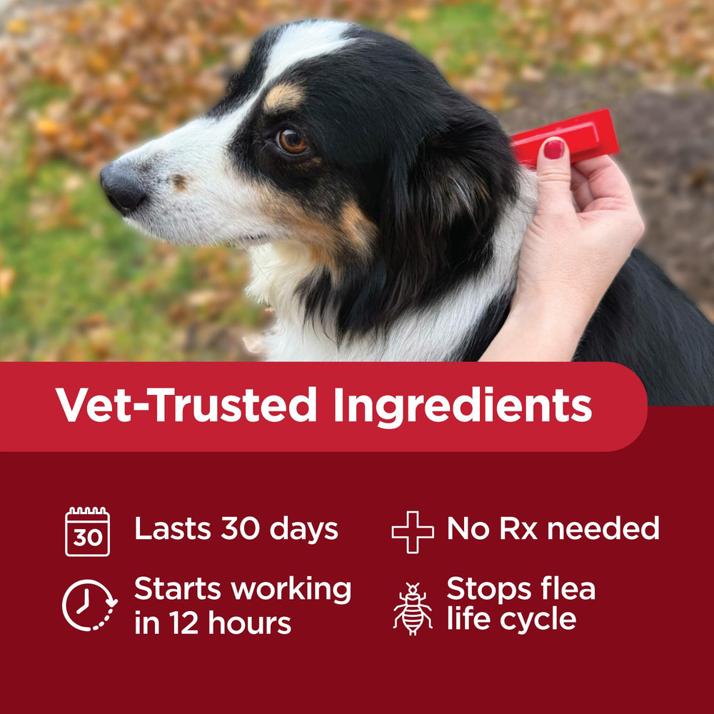 TevraPet Activate II waterproof formula provides 30-day protection after each dose.