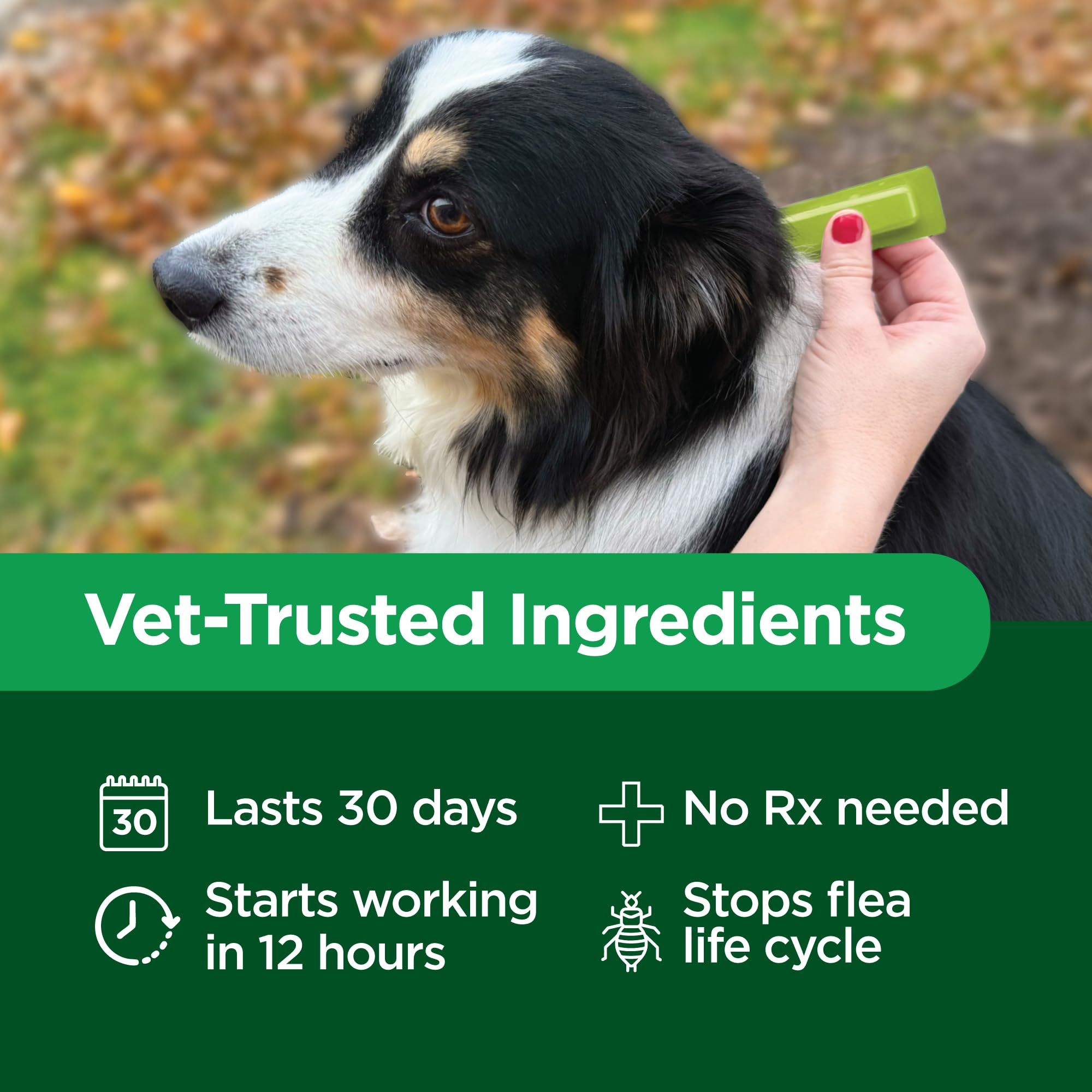 TevraPet Activate II waterproof formula travels across skin after application.