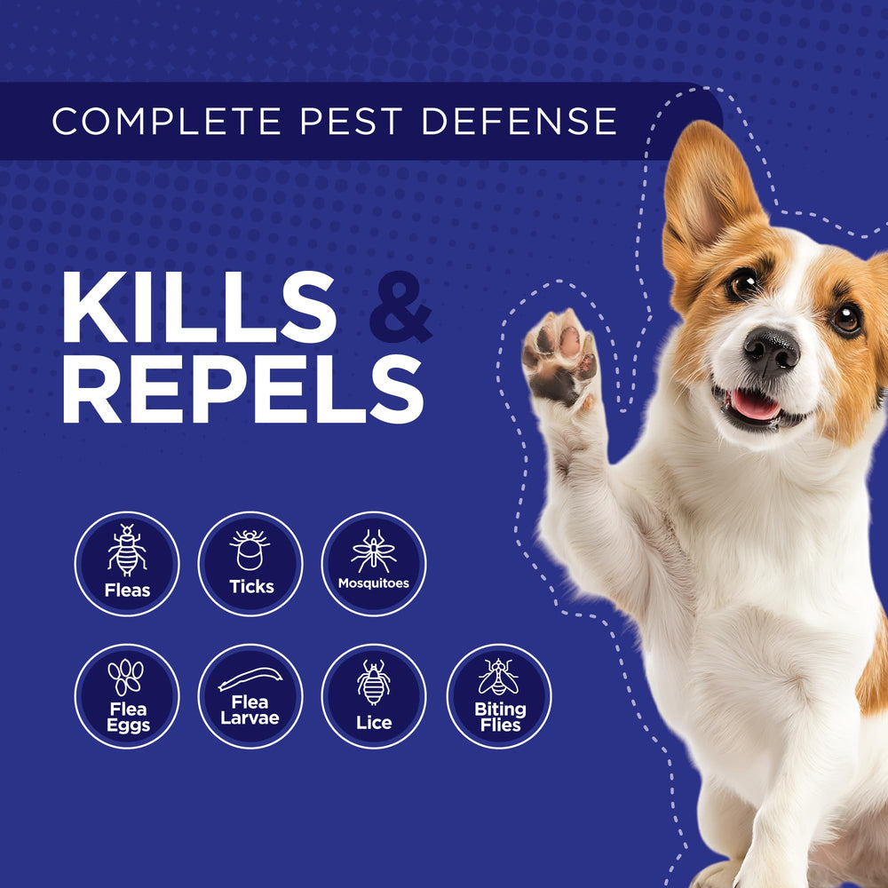 TevraPet Activate II xl-dog image emphasizes use for 55+ lb breeds.