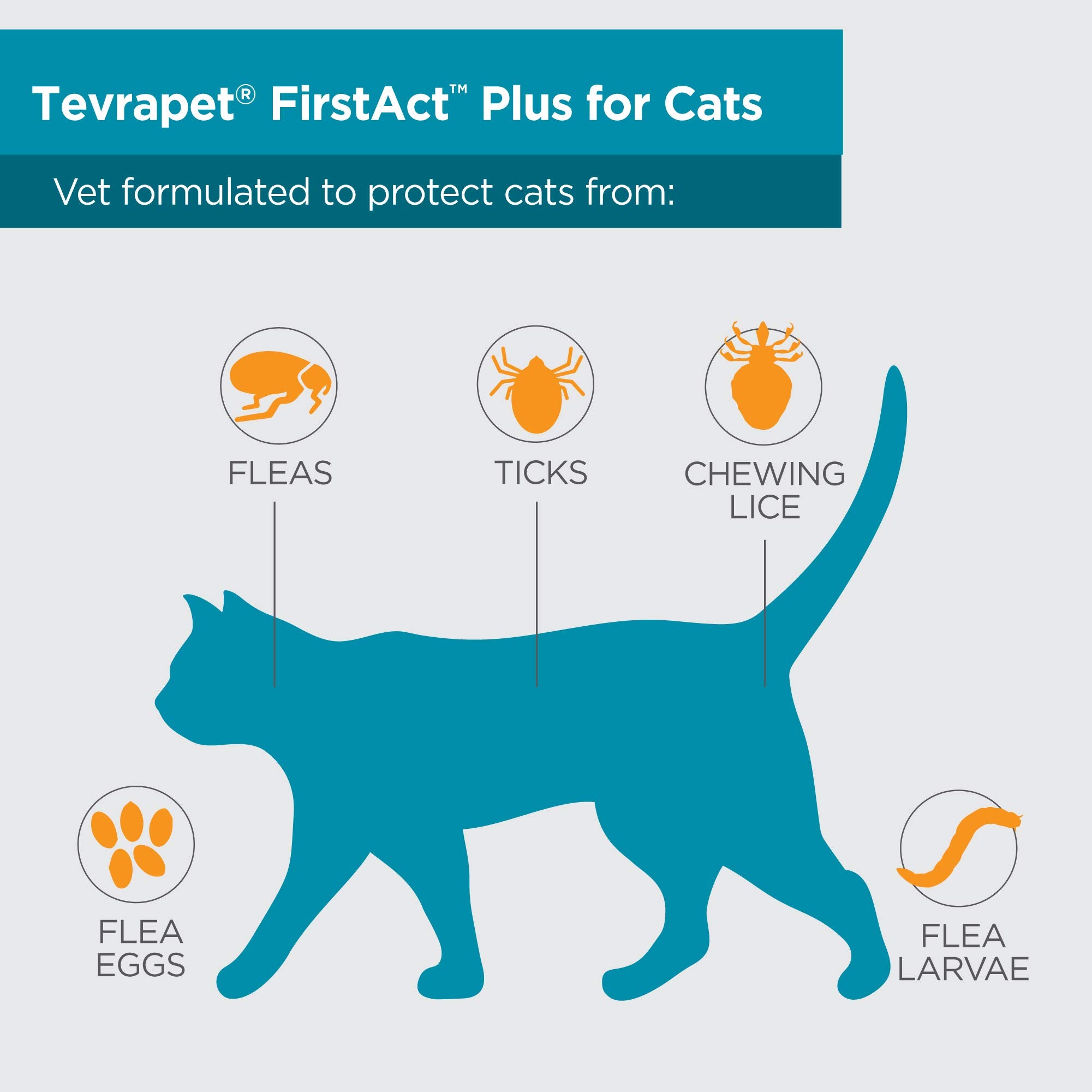 TevraPet FirstAct Plus six-month pack ready for ongoing flea and tick prevention.