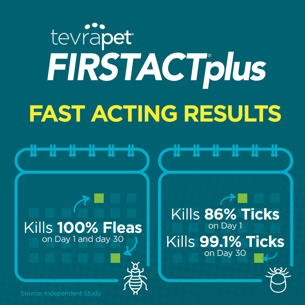 TevraPet FirstAct Plus cat relaxed after application during routine care.