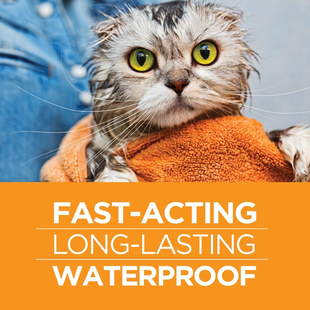 TevraPet FirstAct Plus bottle closeup showcases compact dosing design.
