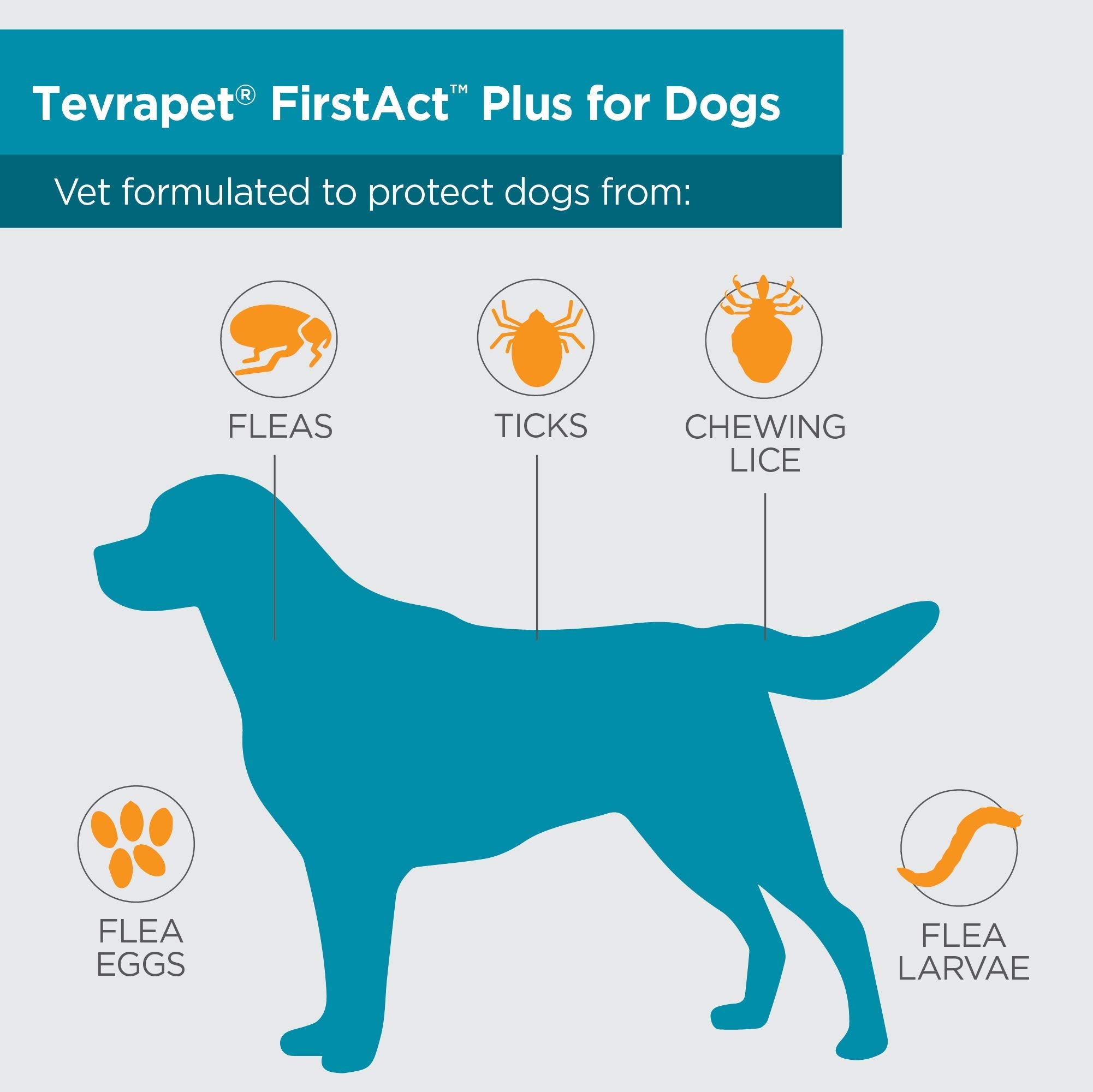 TevraPet FirstAct Plus kills fleas and ticks within 24 hours of contact.