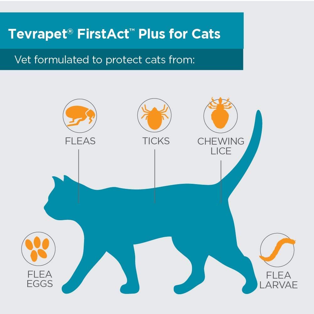TevraPet FirstAct Plus packaging box highlights 3-month supply.