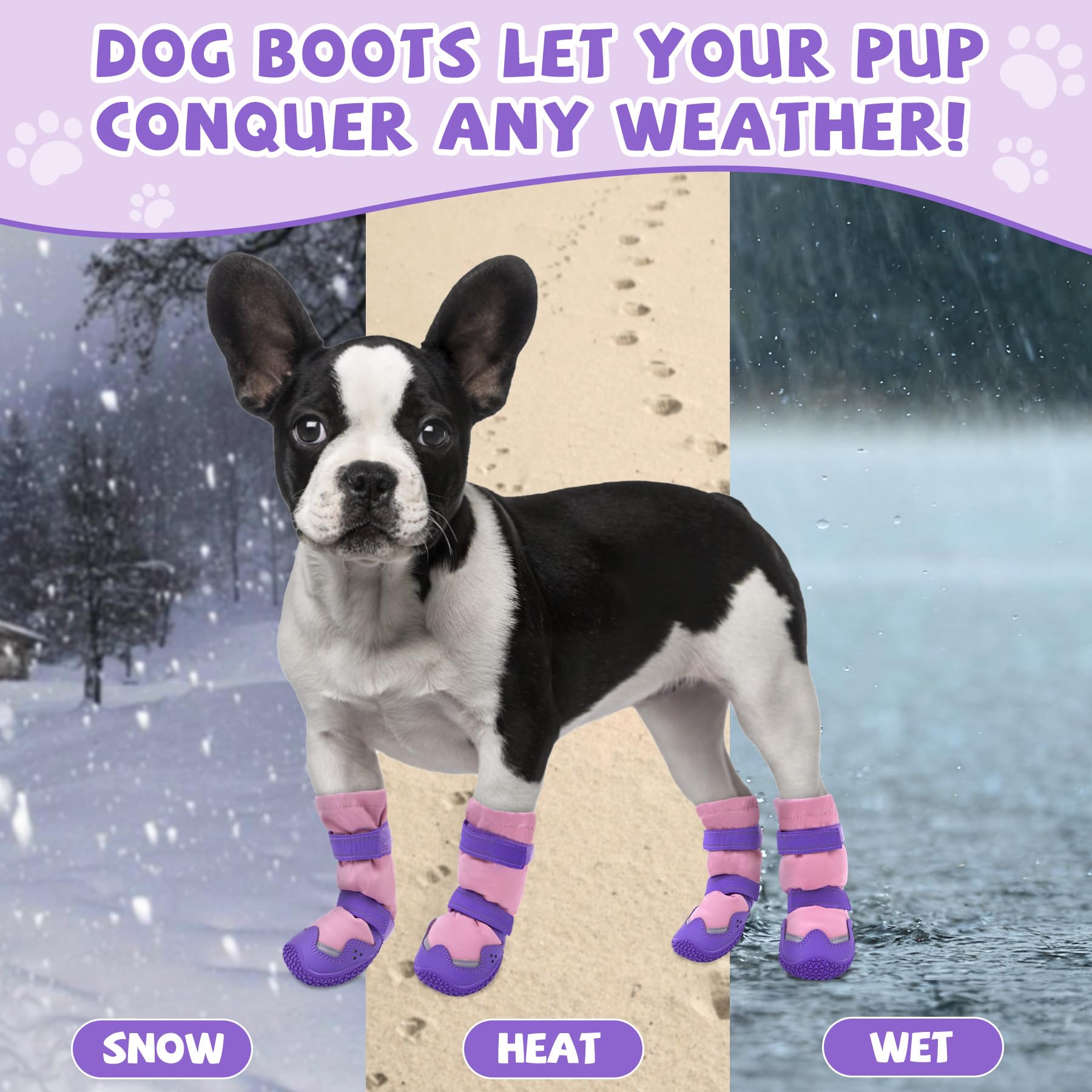 TEWIWAP winter hiking snow use helps paws stay warm.