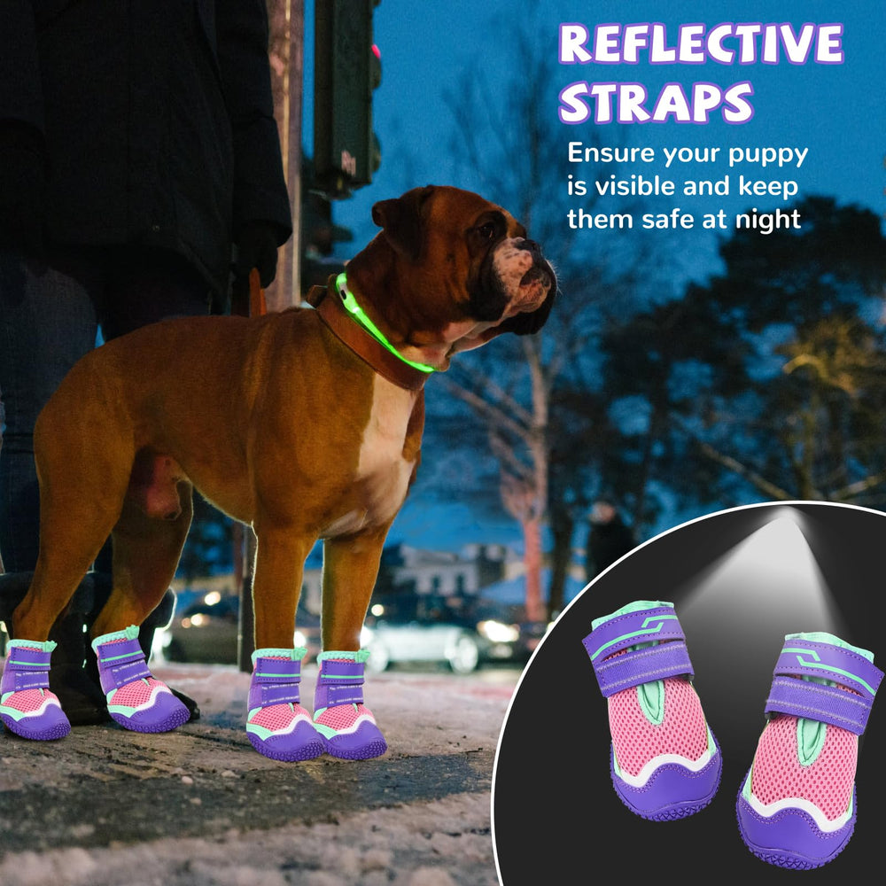 TEWIWAP dog shoes in action on trails for hiking and camping