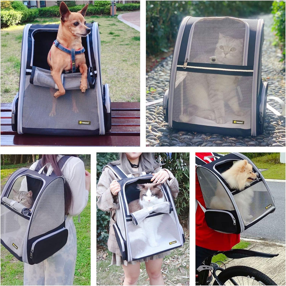 Texsens Cat Backpack collapsible design enables easy storage after adventures.
