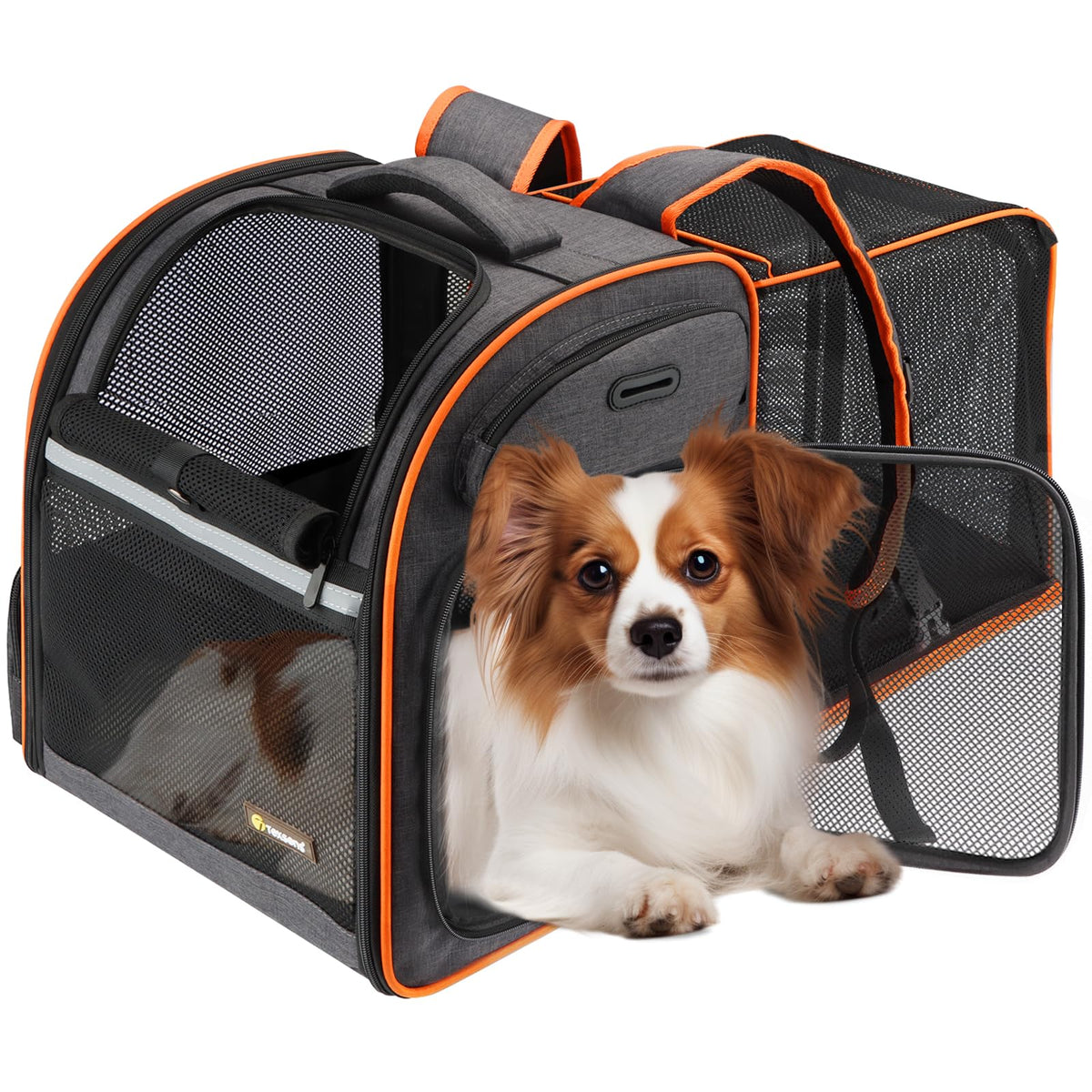 Texsens cat backpack front view for easy travel and pet visibility.