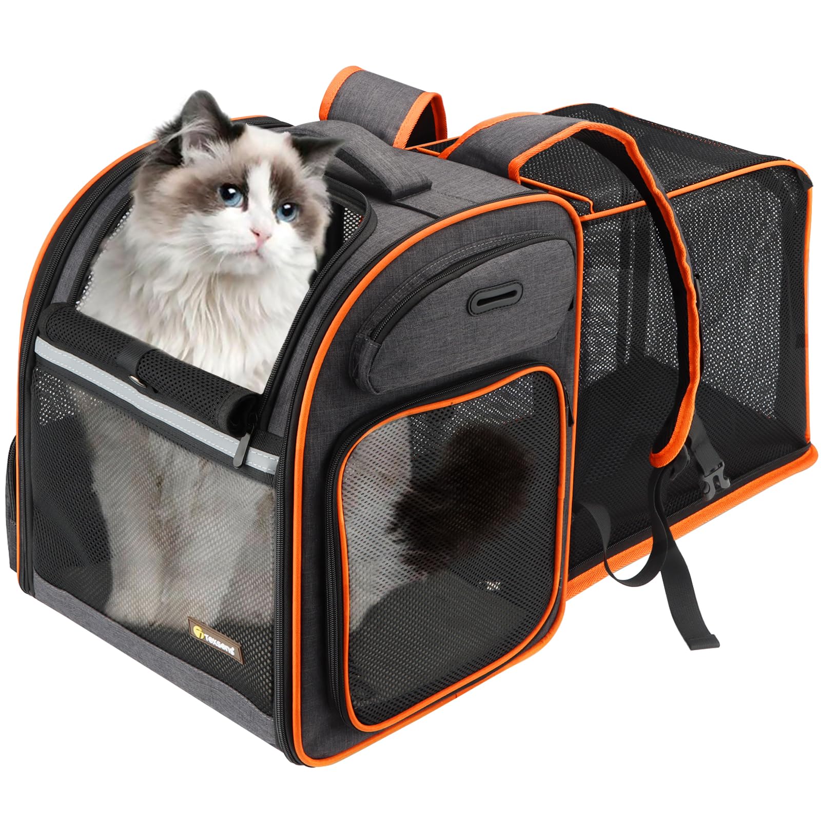 Texsens cat backpack two-cat capacity demonstrates versatile space for siblings.
