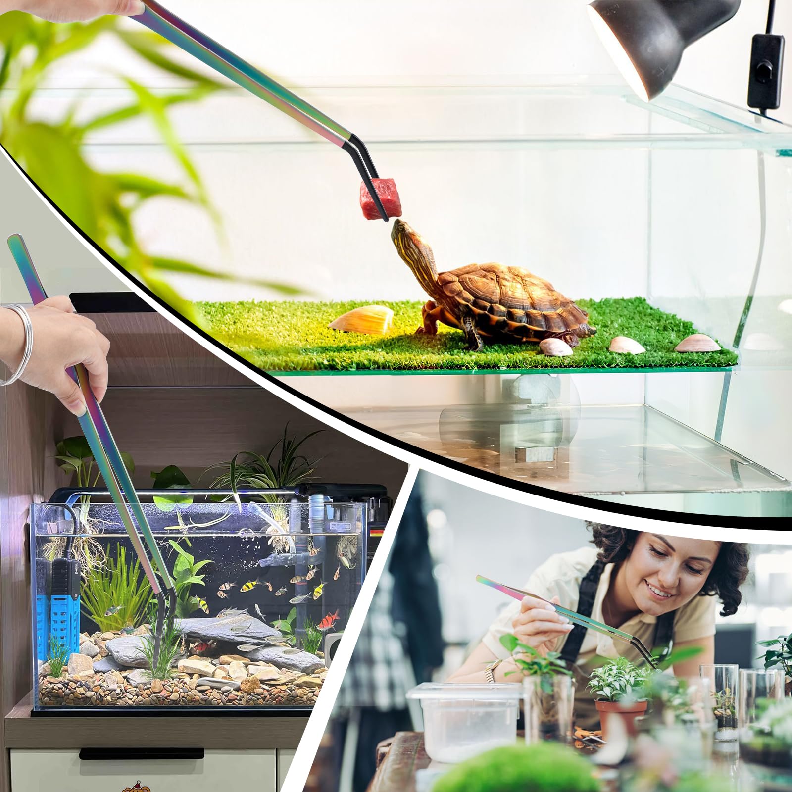 Texsens OLIISS aquarium feeding tools for shrimp and small prey handling