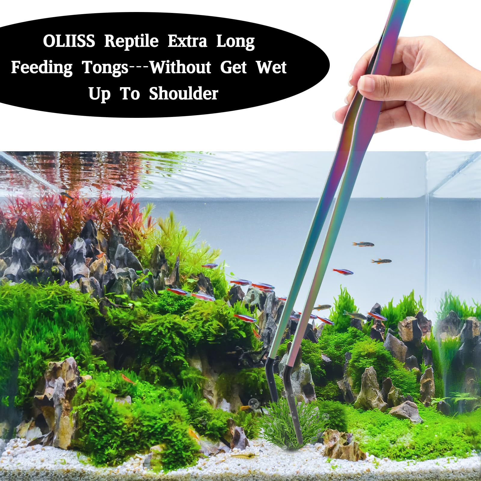 Texsens OLIISS extra long feeding tongs for safe reach in large terrariums