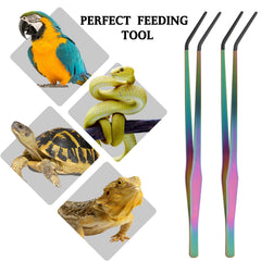 Texsens OLIISS reptile feeding tools for bearded dragons and lizards in tanks
