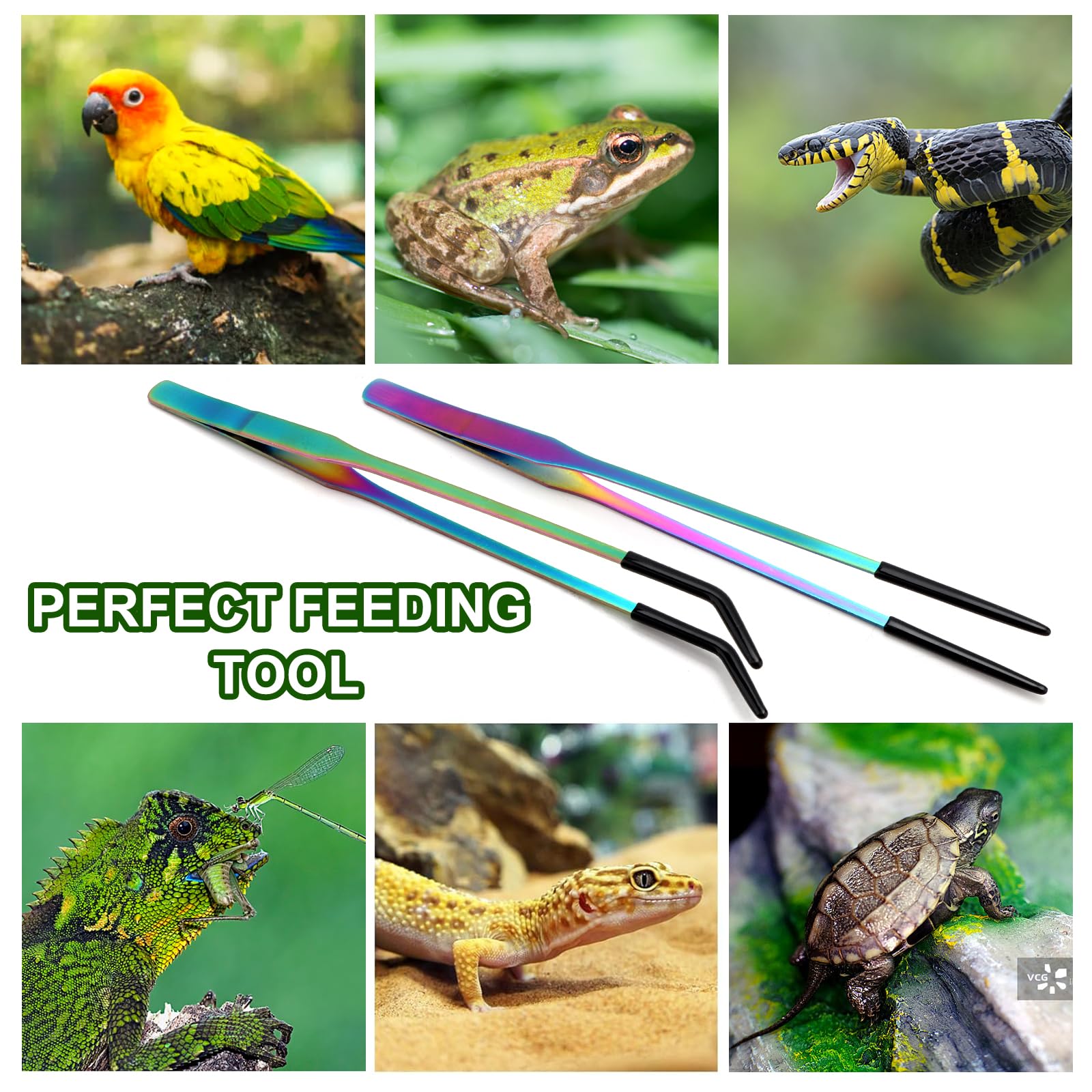 Texsens OLIISS two-pack provides versatile reptile feeding options.