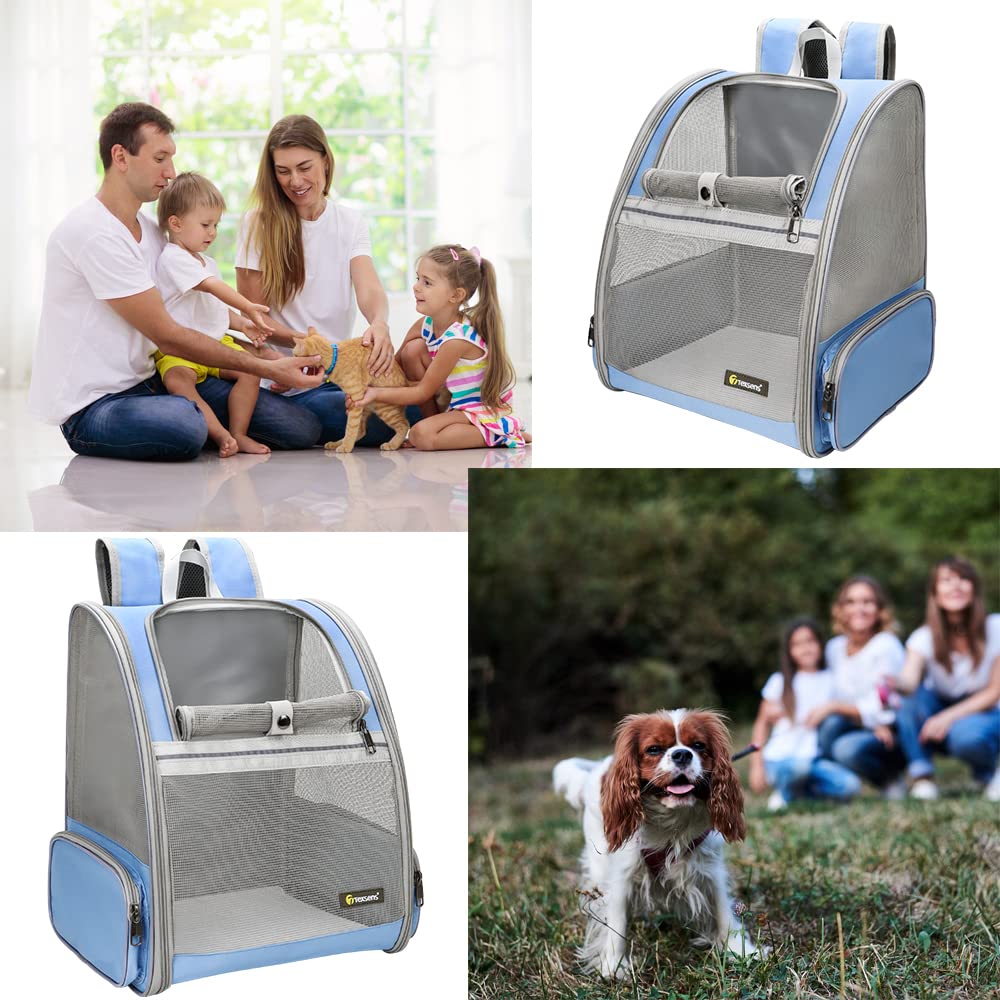 Texsens Pet Backpack Blue collapsible design for easy storage