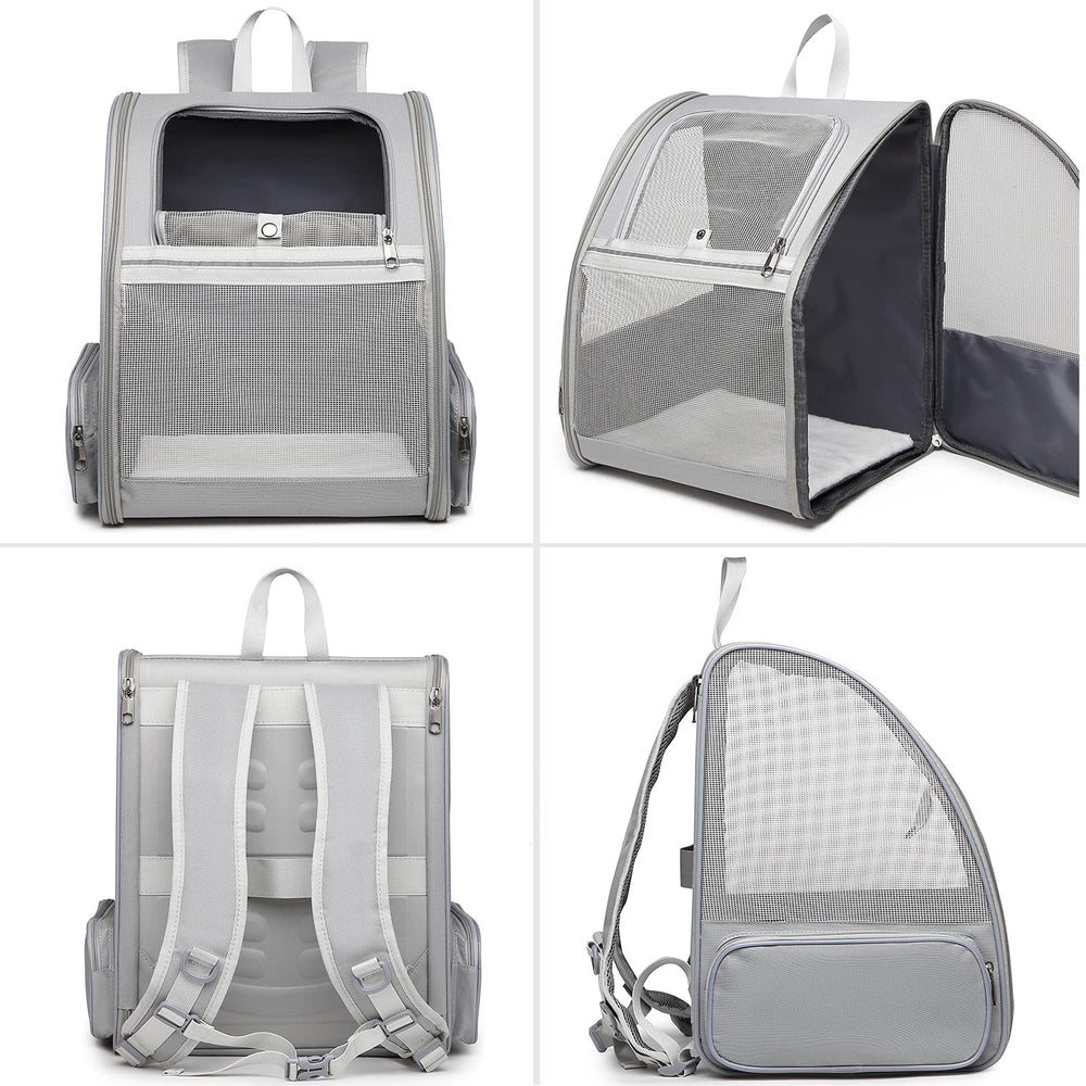 Texsens pet backpack with dog cat inside for secure transport on outings.