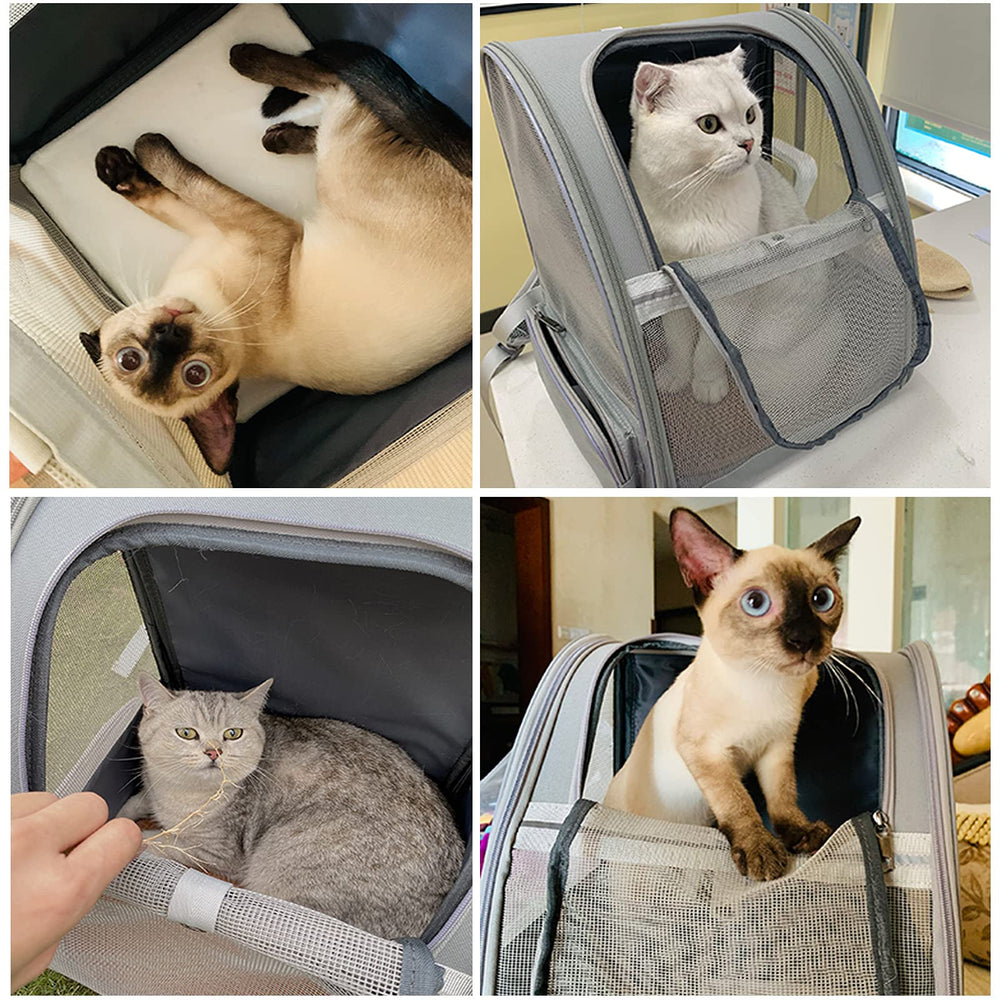 Texsens pet backpack scratch-resistant build stands up to outdoor adventures.